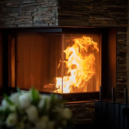 Appart hôtel Manali By Alpine