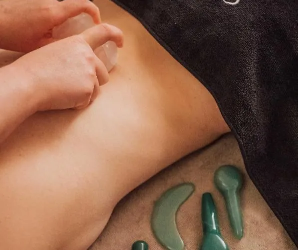 公寓式酒店 Manali By Alpine